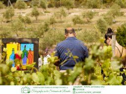 Festival Mar de Tethys 2026 - Bodega Vetas
